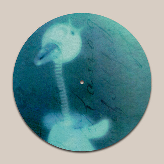 X-ray of a swan on a circular blue background